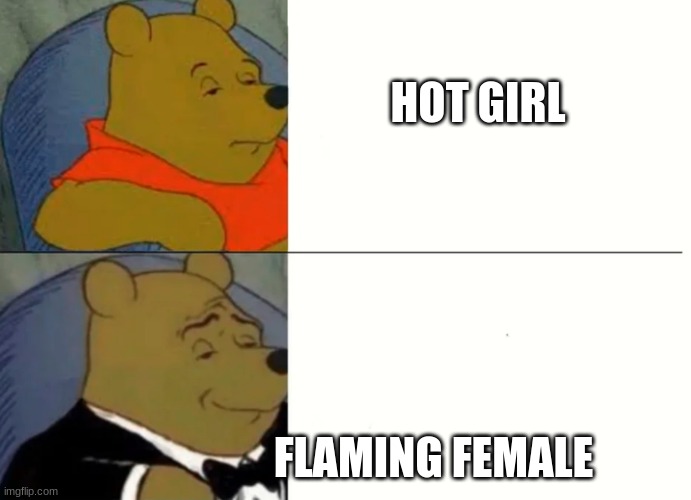 Fancy Winnie The Pooh Meme | HOT GIRL; FLAMING FEMALE | image tagged in fancy winnie the pooh meme | made w/ Imgflip meme maker