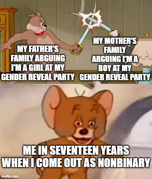 Tom and Butch Sword Fight meme |  MY MOTHER'S FAMILY ARGUING I'M A BOY AT MY GENDER REVEAL PARTY; MY FATHER'S FAMILY ARGUING I'M A GIRL AT MY GENDER REVEAL PARTY; ME IN SEVENTEEN YEARS WHEN I COME OUT AS NONBINARY | image tagged in tom and jerry swordfight,memes,gender reveal parties,non binary,lgbtq | made w/ Imgflip meme maker