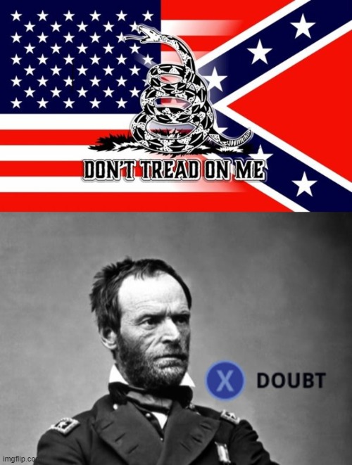 all I can gather is that this individual is seriously confused -- imma leave this one to General Sherm | image tagged in x doubt general sherman,don't tread on me confederate flag,civil war,doubt,la noire press x to doubt | made w/ Imgflip meme maker