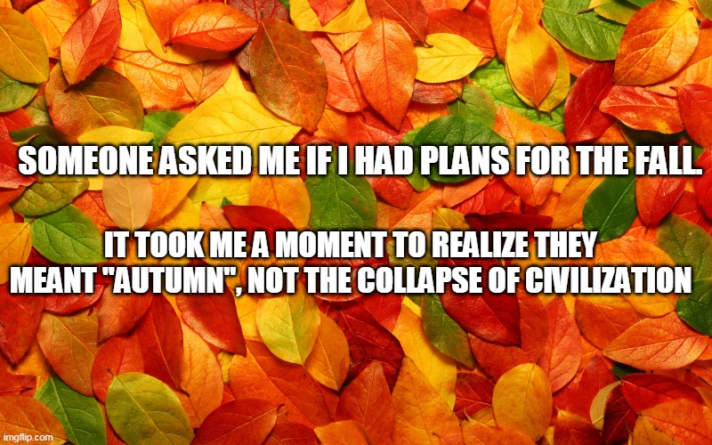 Fall of Civilization | SOMEONE ASKED ME IF I HAD PLANS FOR THE FALL. IT TOOK ME A MOMENT TO REALIZE THEY MEANT "AUTUMN", NOT THE COLLAPSE OF CIVILIZATION | image tagged in autumn | made w/ Imgflip meme maker