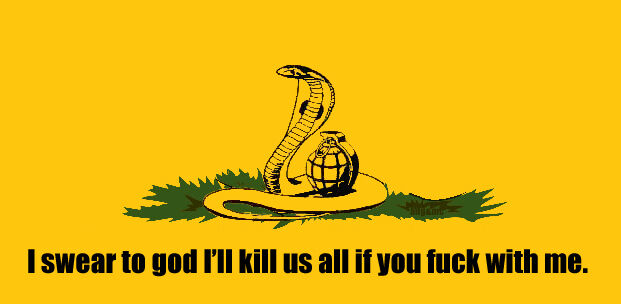 High Quality The Real Gadsden Flag Blank Meme Template