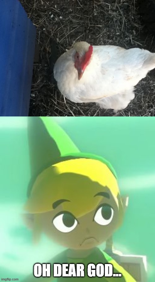 Ruh Roe | image tagged in memes,angry chicken boss | made w/ Imgflip meme maker