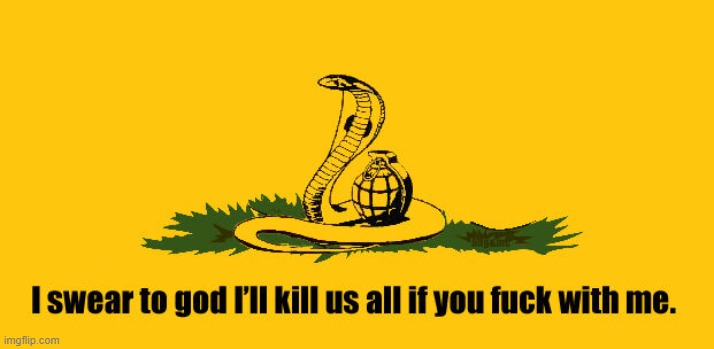 well at least this is an honest gadsden flag | image tagged in the real gadsden flag,honest,honesty,libertarian,libertarians,libertarianism | made w/ Imgflip meme maker