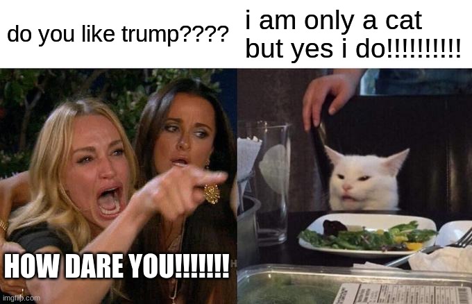 Woman Yelling At Cat | do you like trump???? i am only a cat but yes i do!!!!!!!!!! HOW DARE YOU!!!!!!! | image tagged in memes,woman yelling at cat | made w/ Imgflip meme maker