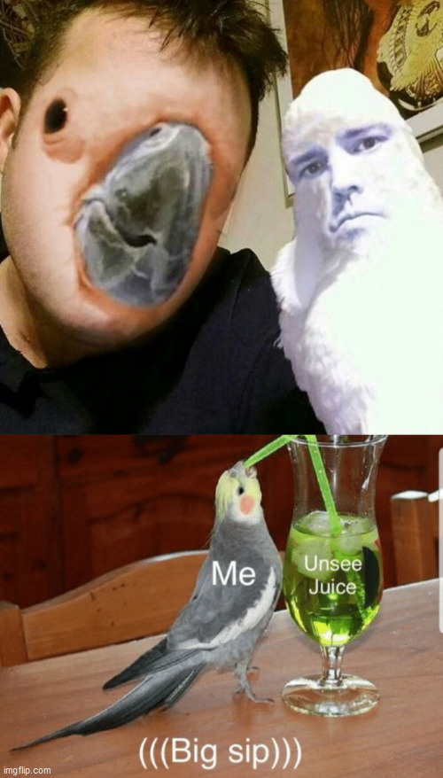 Creepy Face Swap: That dood and a parrot | image tagged in unsee juice,face swap,creepypasta,memes,funny,pets | made w/ Imgflip meme maker