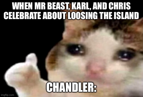 Sad cat thumbs up | WHEN MR BEAST, KARL, AND CHRIS CELEBRATE ABOUT LOOSING THE ISLAND; CHANDLER: | image tagged in sad cat thumbs up | made w/ Imgflip meme maker