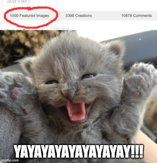 i've caught this! :D | YAYAYAYAYAYAYAYAY!!! | image tagged in yay kitty,memes,funny,1000 featured images,imgflip,milestone | made w/ Imgflip meme maker