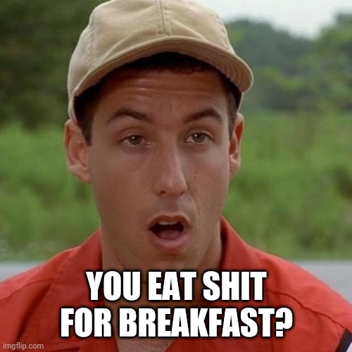 Adam Sandler mouth dropped | YOU EAT SHIT FOR BREAKFAST? | image tagged in adam sandler mouth dropped | made w/ Imgflip meme maker