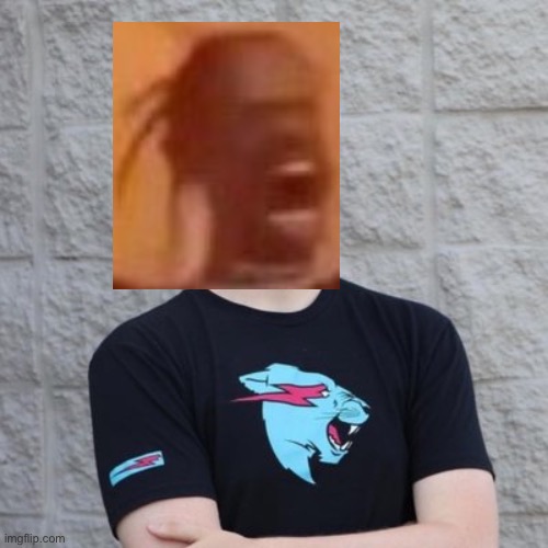 Mr. Beast | image tagged in mr beast | made w/ Imgflip meme maker