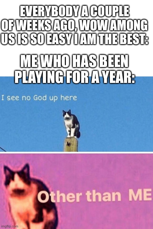 Fun fact, among us has been out for 2yrs | EVERYBODY A COUPLE OF WEEKS AGO, WOW AMONG US IS SO EASY I AM THE BEST:; ME WHO HAS BEEN PLAYING FOR A YEAR: | image tagged in hail pole cat | made w/ Imgflip meme maker