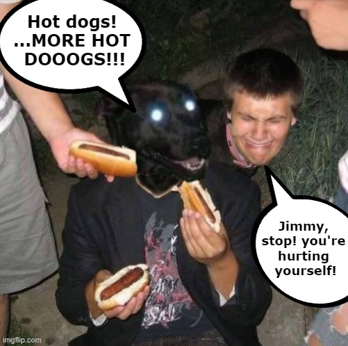 For everyone who asked about the dog...I hope this clears things up. |  Hot dogs!
...MORE HOT
 DOOOGS!!! Jimmy, stop! you're hurting
 yourself! | image tagged in hot dogs,hotdogs,hot diggety dogs,perros calientes | made w/ Imgflip meme maker