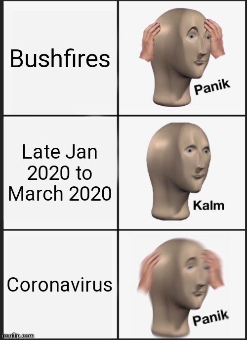 Busfir Kalm Kornaverus | Bushfires; Late Jan 2020 to March 2020; Coronavirus | image tagged in memes,panik kalm panik,coronavirus,coronavirus meme | made w/ Imgflip meme maker