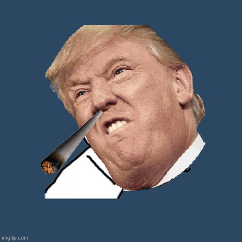 he | image tagged in donald trump | made w/ Imgflip meme maker