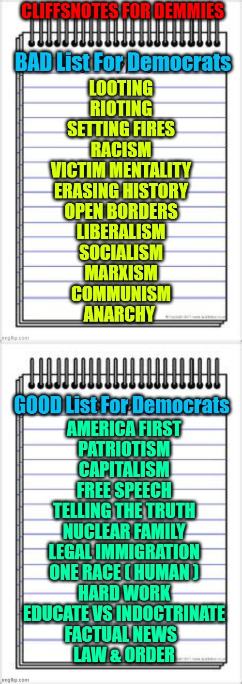 CliffsNotes For Demmies | CLIFFSNOTES FOR DEMMIES | image tagged in politics,political meme,democratic socialism,blm,antifa,make america great again | made w/ Imgflip meme maker