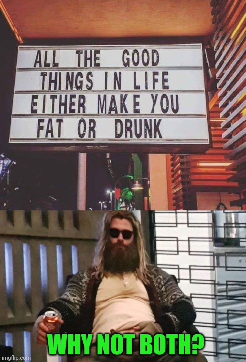 Fat, Drunk and Thor | WHY NOT BOTH? | image tagged in fat thor,why not both,drunk,fat,good stuff | made w/ Imgflip meme maker