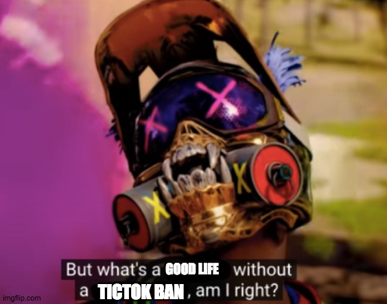 but what's a X without a Y | GOOD LIFE TICTOK BAN | image tagged in but what's a x without a y | made w/ Imgflip meme maker