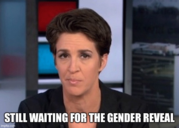 Rachel Maddow  |  STILL WAITING FOR THE GENDER REVEAL | image tagged in rachel maddow | made w/ Imgflip meme maker