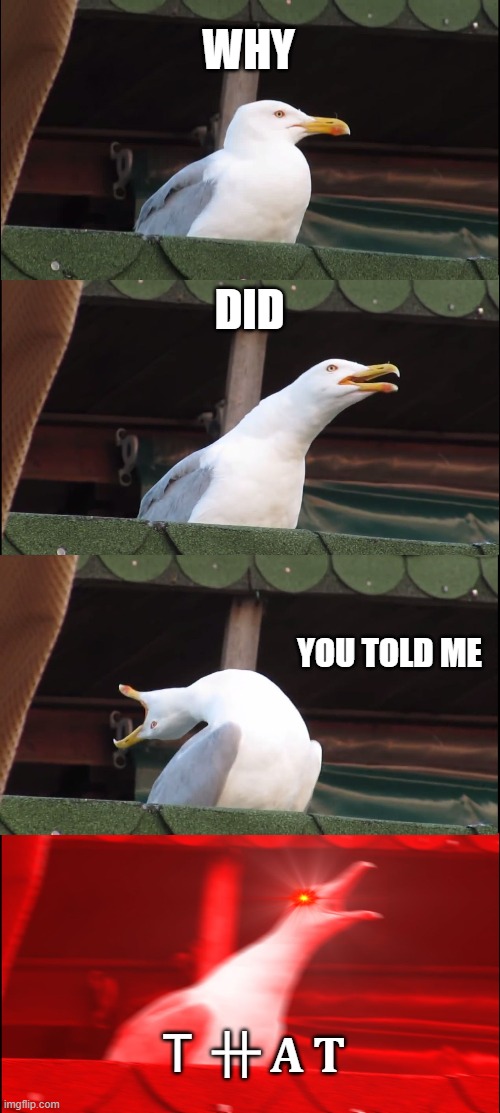 I just dont know why you ruined the surprised. | WHY; DID; YOU TOLD ME; Ｔ 卄 𝐀 𝐓 | image tagged in memes,inhaling seagull | made w/ Imgflip meme maker