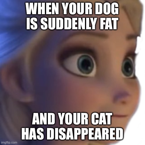 Uh oh | WHEN YOUR DOG IS SUDDENLY FAT; AND YOUR CAT HAS DISAPPEARED | image tagged in mydogisanidiot | made w/ Imgflip meme maker