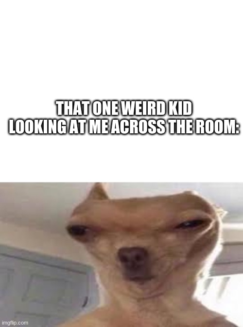 THAT ONE WEIRD KID LOOKING AT ME ACROSS THE ROOM: | image tagged in blank white template | made w/ Imgflip meme maker