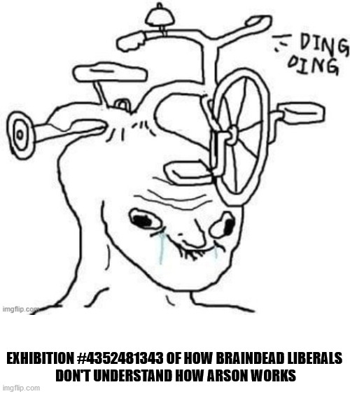 EXHIBITION #4352481343 OF HOW BRAINDEAD LIBERALS
 DON'T UNDERSTAND HOW ARSON WORKS | made w/ Imgflip meme maker