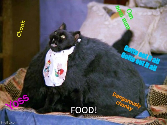 Mew | Om nom num; Chonk; Gotta eat it all
Gotta eat it all; Yoss; Dangerously chonky | image tagged in mew | made w/ Imgflip meme maker