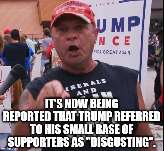 And yet...you guessed it...you'll STILL support him. lol | IT'S NOW BEING REPORTED THAT TRUMP REFERRED TO HIS SMALL BASE OF SUPPORTERS AS "DISGUSTING". | image tagged in donald trump,disgusting,trump supporters,loser,traitor,fail | made w/ Imgflip meme maker