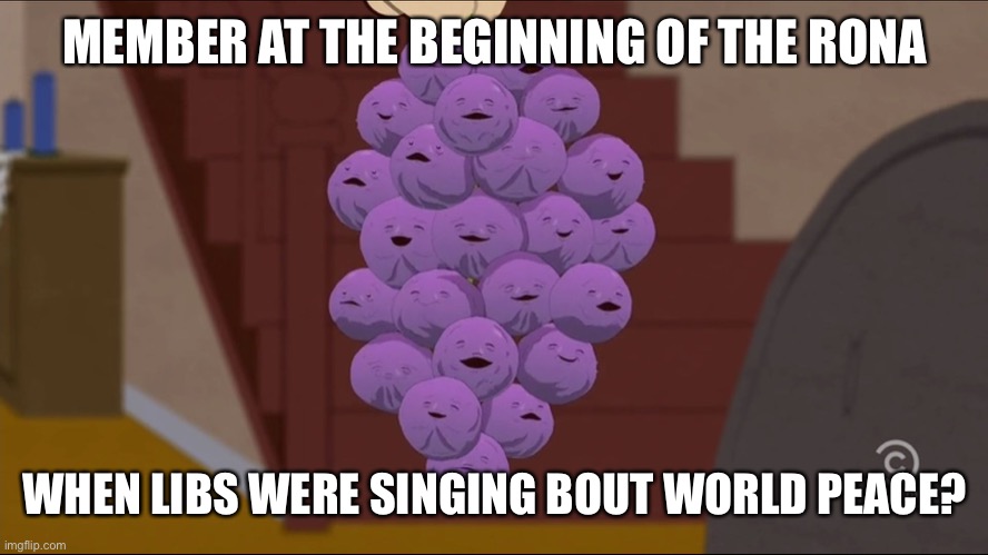 Member Berries Meme | MEMBER AT THE BEGINNING OF THE RONA WHEN LIBS WERE SINGING BOUT WORLD PEACE? | image tagged in memes,member berries | made w/ Imgflip meme maker