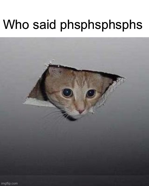 He’s searching | Who said phsphsphsphs | image tagged in memes,ceiling cat | made w/ Imgflip meme maker