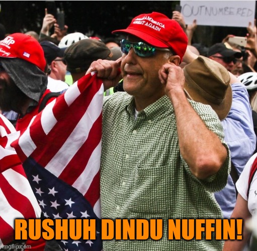 Trump supporter bias | RUSHUH DINDU NUFFIN! | image tagged in trump supporter bias,love is blind | made w/ Imgflip meme maker