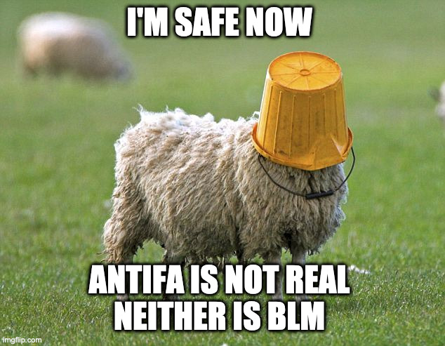 stupid sheep | I'M SAFE NOW ANTIFA IS NOT REAL 
NEITHER IS BLM | image tagged in stupid sheep | made w/ Imgflip meme maker