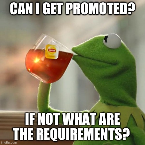 But That's None Of My Business | CAN I GET PROMOTED? IF NOT WHAT ARE THE REQUIREMENTS? | image tagged in memes,but that's none of my business,kermit the frog | made w/ Imgflip meme maker