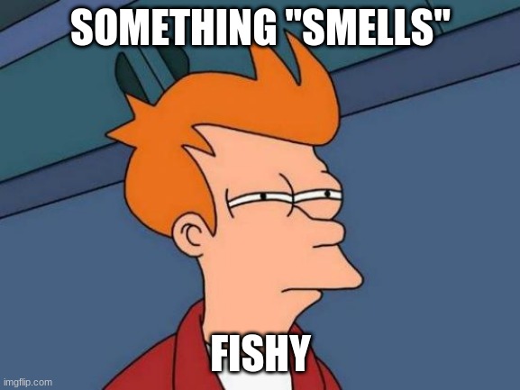 Fishy meme | SOMETHING "SMELLS"; FISHY | image tagged in memes,futurama fry | made w/ Imgflip meme maker