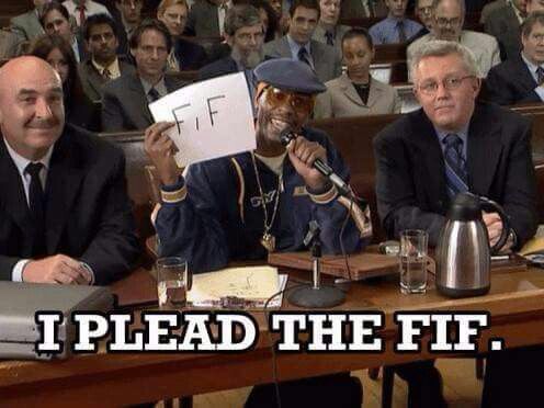 High Quality Plead the fif Blank Meme Template