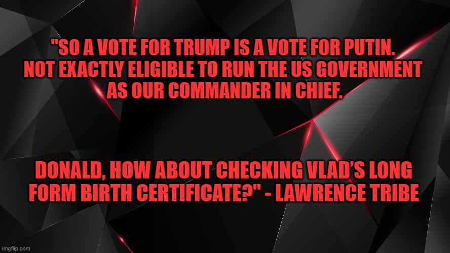 Donald, how about checking Vlad’s long form birth certificate? | "SO A VOTE FOR TRUMP IS A VOTE FOR PUTIN. 

NOT EXACTLY ELIGIBLE TO RUN THE US GOVERNMENT 
AS OUR COMMANDER IN CHIEF. DONALD, HOW ABOUT CHECKING VLAD’S LONG FORM BIRTH CERTIFICATE?" - LAWRENCE TRIBE | image tagged in donald trump,vladimir putin,election 2020 | made w/ Imgflip meme maker
