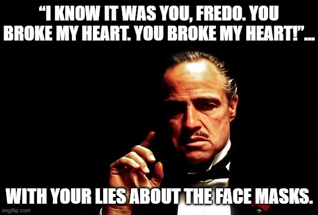 IF YOU CAN'T EXPLAIN HOW IT STOPS YOU INFECTING ME BUT DOESN'T STOP ME INFECTING YOU THEN WHY ARE YOU WEARING IT MUPPET? | “I KNOW IT WAS YOU, FREDO. YOU BROKE MY HEART. YOU BROKE MY HEART!”... WITH YOUR LIES ABOUT THE FACE MASKS. | image tagged in facemask,mask of submission,little or no,benefit and,they probably,make it worse | made w/ Imgflip meme maker