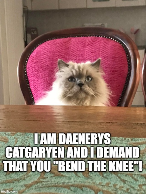 I AM DAENERYS CATGARYEN AND I DEMAND THAT YOU "BEND THE KNEE"! | made w/ Imgflip meme maker