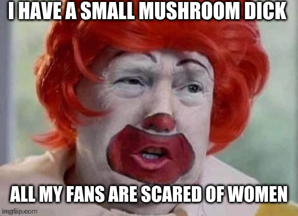 clown T | I HAVE A SMALL MUSHROOM DICK ALL MY FANS ARE SCARED OF WOMEN | image tagged in clown t | made w/ Imgflip meme maker