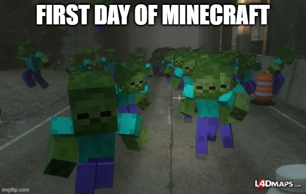 On the first day of minecraft | FIRST DAY OF MINECRAFT | image tagged in on the first day of minecraft | made w/ Imgflip meme maker