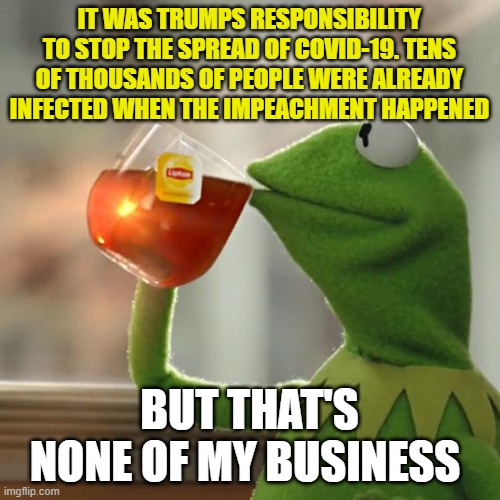 But That's None Of My Business Meme | IT WAS TRUMPS RESPONSIBILITY TO STOP THE SPREAD OF COVID-19. TENS OF THOUSANDS OF PEOPLE WERE ALREADY INFECTED WHEN THE IMPEACHMENT HAPPENED | image tagged in memes,but that's none of my business,kermit the frog | made w/ Imgflip meme maker