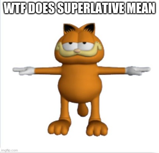 no seriously, what does it mean | WTF DOES SUPERLATIVE MEAN | image tagged in garfield t-pose | made w/ Imgflip meme maker