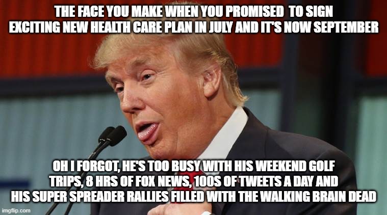 Dumb Trump | THE FACE YOU MAKE WHEN YOU PROMISED  TO SIGN EXCITING NEW HEALTH CARE PLAN IN JULY AND IT'S NOW SEPTEMBER; OH I FORGOT, HE'S TOO BUSY WITH HIS WEEKEND GOLF TRIPS, 8 HRS OF FOX NEWS, 100S OF TWEETS A DAY AND HIS SUPER SPREADER RALLIES FILLED WITH THE WALKING BRAIN DEAD | image tagged in dumb trump | made w/ Imgflip meme maker