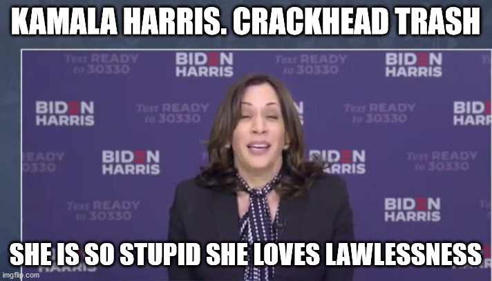 Kamala Harris biggest loser of 2020 | KAMALA HARRIS. CRACKHEAD TRASH; SHE IS SO STUPID SHE LOVES LAWLESSNESS | image tagged in kamala harris,joe biden,creepy joe biden,trump 2020,2020 elections | made w/ Imgflip meme maker