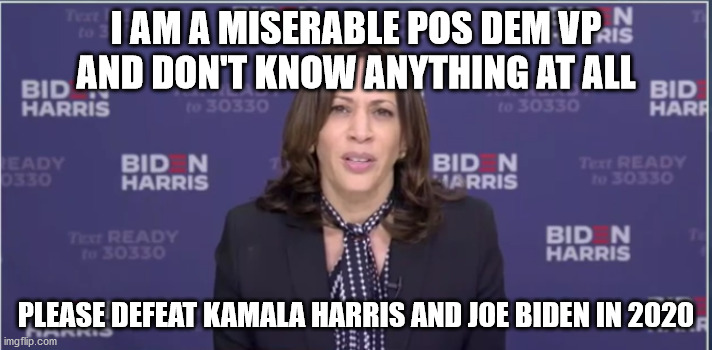 Loser Kamala | I AM A MISERABLE POS DEM VP AND DON'T KNOW ANYTHING AT ALL; PLEASE DEFEAT KAMALA HARRIS AND JOE BIDEN IN 2020 | image tagged in kamala harris,joe biden,pandemic,democrats | made w/ Imgflip meme maker