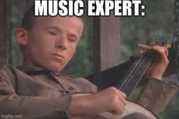 Deliverance Banjo | MUSIC EXPERT: | image tagged in deliverance banjo | made w/ Imgflip meme maker
