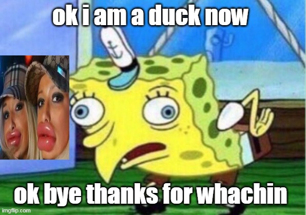 oof | ok i am a duck now; ok bye thanks for whachin | image tagged in memes,mocking spongebob | made w/ Imgflip meme maker