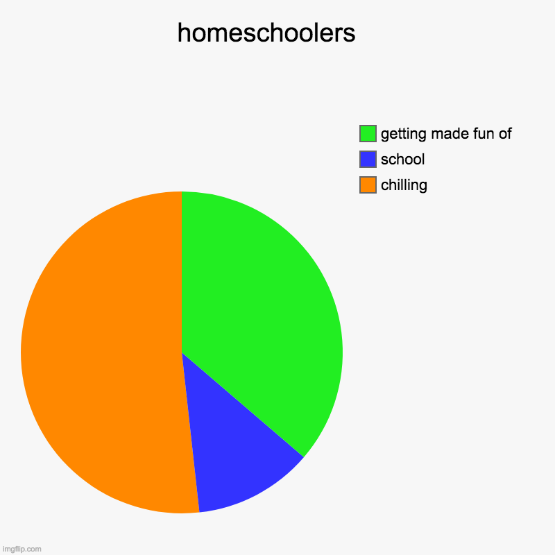 homeschoolers   | chilling, school, getting made fun of | image tagged in charts,pie charts | made w/ Imgflip chart maker