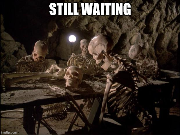 Skeletons waiting around a table | STILL WAITING | image tagged in skeletons waiting around a table | made w/ Imgflip meme maker