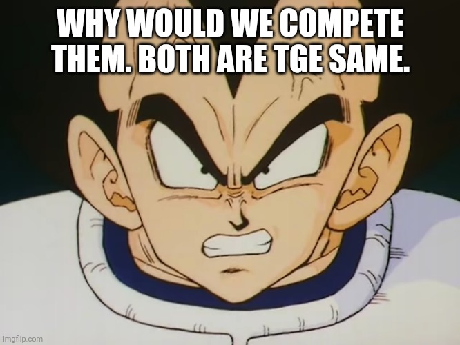 Angry Vegeta (DBZ) | WHY WOULD WE COMPETE THEM. BOTH ARE TGE SAME. | image tagged in angry vegeta dbz | made w/ Imgflip meme maker