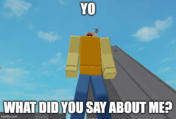 YO; WHAT DID YOU SAY ABOUT ME? | image tagged in funny memes | made w/ Imgflip meme maker